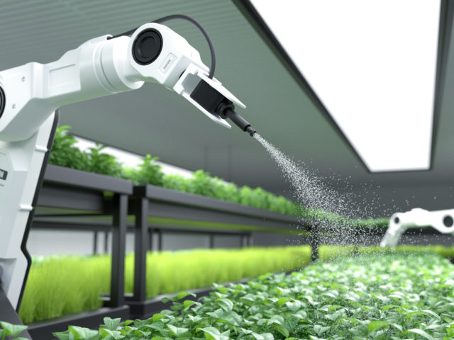 L'intelligence artificielle en agriculture : une révolution silencieuse