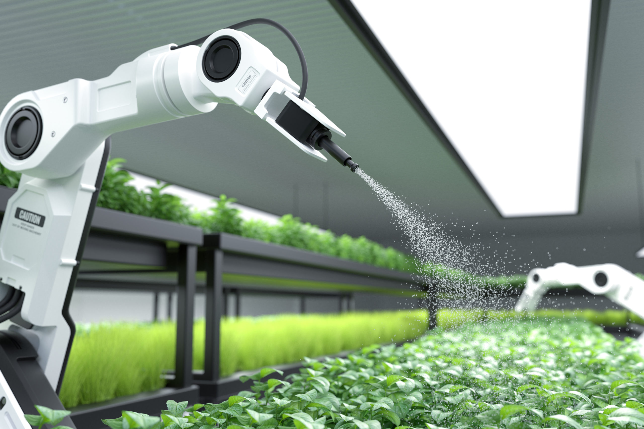 L'intelligence artificielle en agriculture : une révolution silencieuse